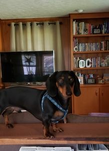 Meet your Posher, Stephen